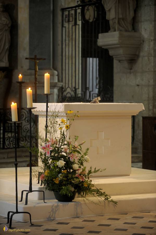 Nom de l'image : D30080159_1_(c)Norbert-JUNG — Description :